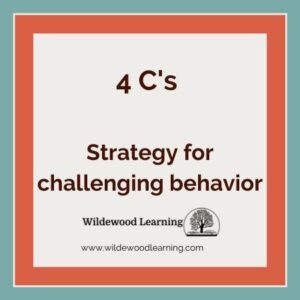 Square graphic with text: 4 Cs Strategy for challenging behavior and Wildewood Learning with a small tree logo and website link www.wildewoodlearning.com. The border is orange and the background is light teal.