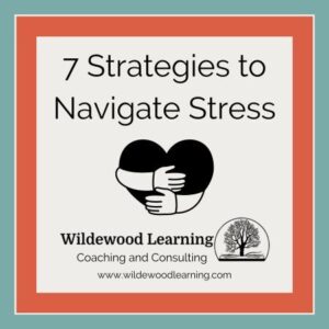Text reads 7 Strategies to Navigate Stress. Below is a heart being hugged by two arms, with Wildewood Learning Coaching and Consulting and a tree logo. Website: www.wildewoodlearning.com.