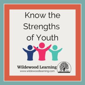 Three colorful human figures with raised arms below the text Know the Strengths of Youth. Below is Wildewood Learning with a tree logo and the website www.wildewoodlearning.com.
