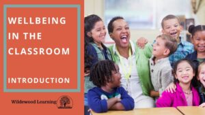 A diverse group of smiling children sits with a teacher in a classroom. Text reads: Wellbeing in the Classroom Introduction. Wildewood Learning logo appears at the bottom left.