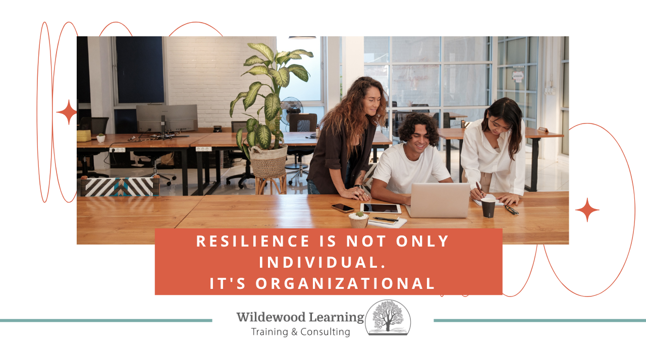 Three people collaborate at a desk in a modern office. Text reads: “Resilience is not only individual. It’s organizational.” Wildewood Learning logo and “Training & Consulting” appear at the bottom.